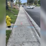Can You Park in Front of a Fire Hydrant If the Curb is Not Red?