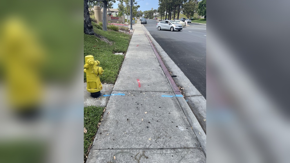 Can You Park in Front of a Fire Hydrant If the Curb is Not Red?